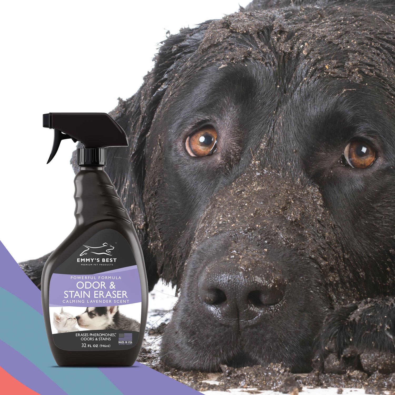 Powerful Pet Odor Eliminator Urine Remover Exclusive Enzyme Cleaner