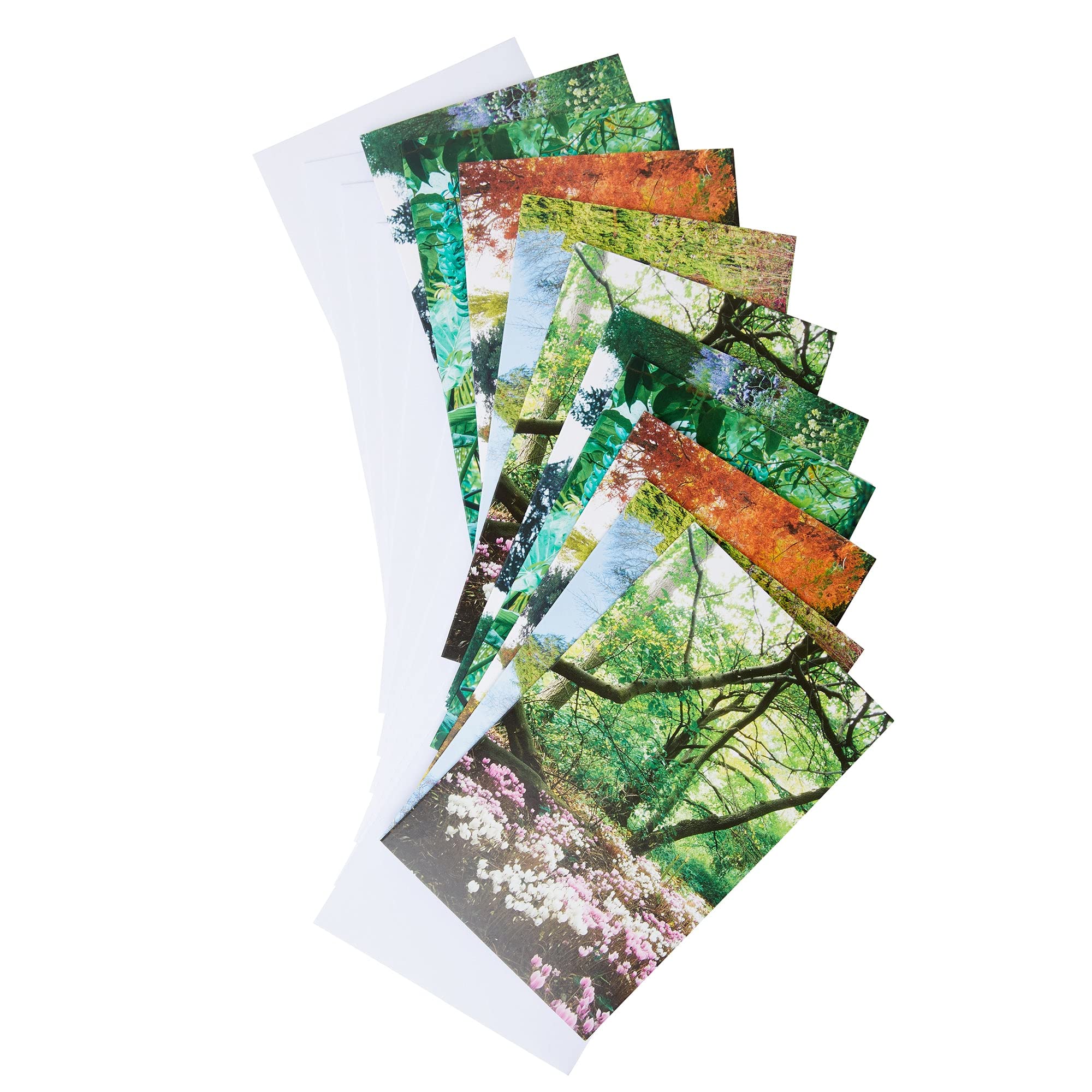Fitzwilliam Museum Curating Notecard Blank Pack of Greeting Cards University of Cambridge (2 Each of 5 Designs) (Botanic Garden)