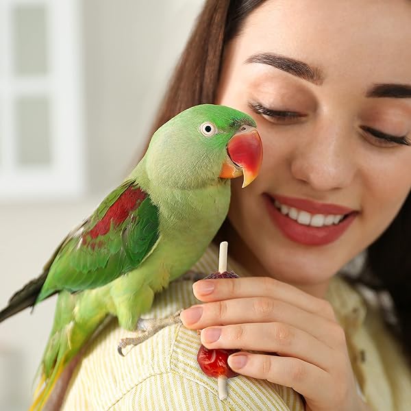 WILD HARVEST FRUIT KABOBS FOR ALL BIRDS, 6 COUNT, MADE WITH REAL CARROT, CHERRY AND CRANBERRY WITH EDIBLE SKEWER, 0.52 OUNCE (PACK OF 6)