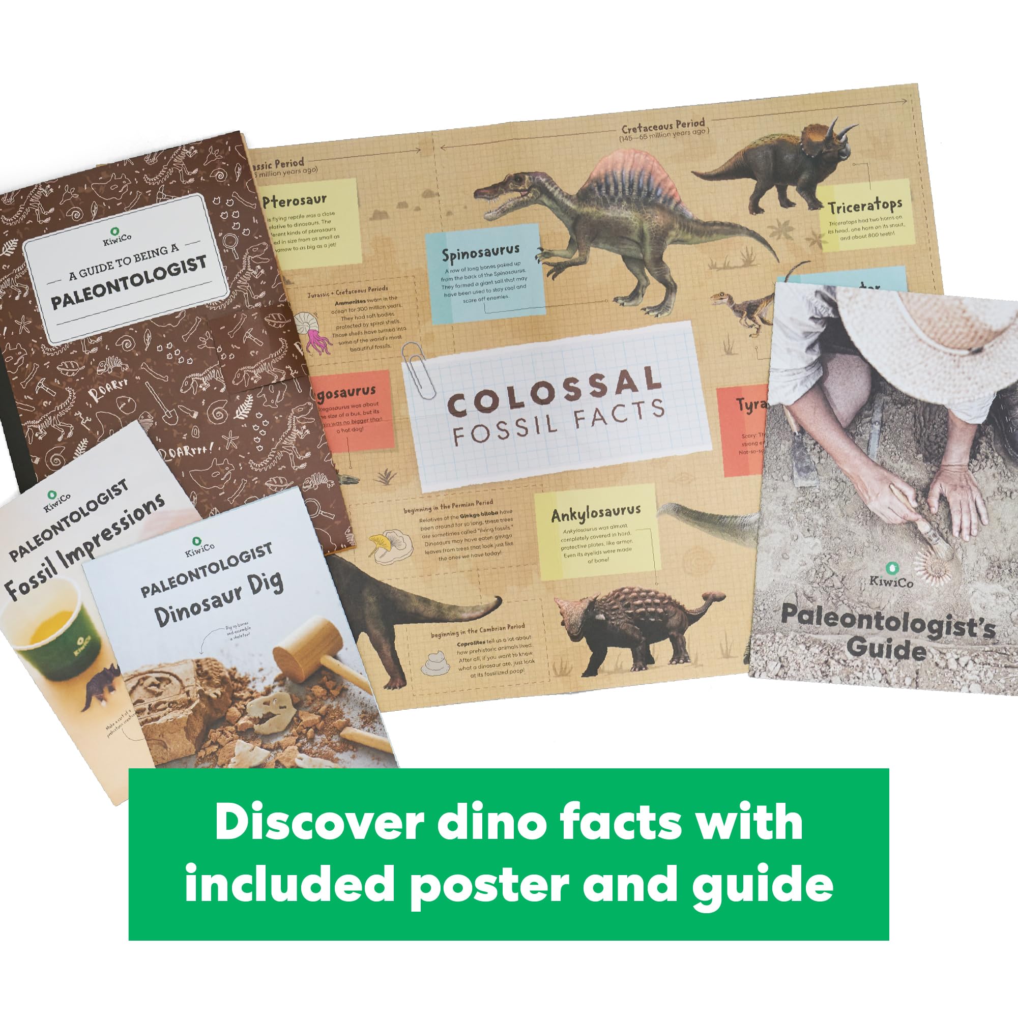 KiwiCo Dinosaur Fossil Dig Kit for Kids Age 6+ | Excavate & Build Skeleton, Make Fossil Impressions | STEM Paleontology Science Kit with Dinosaur Facts Poster