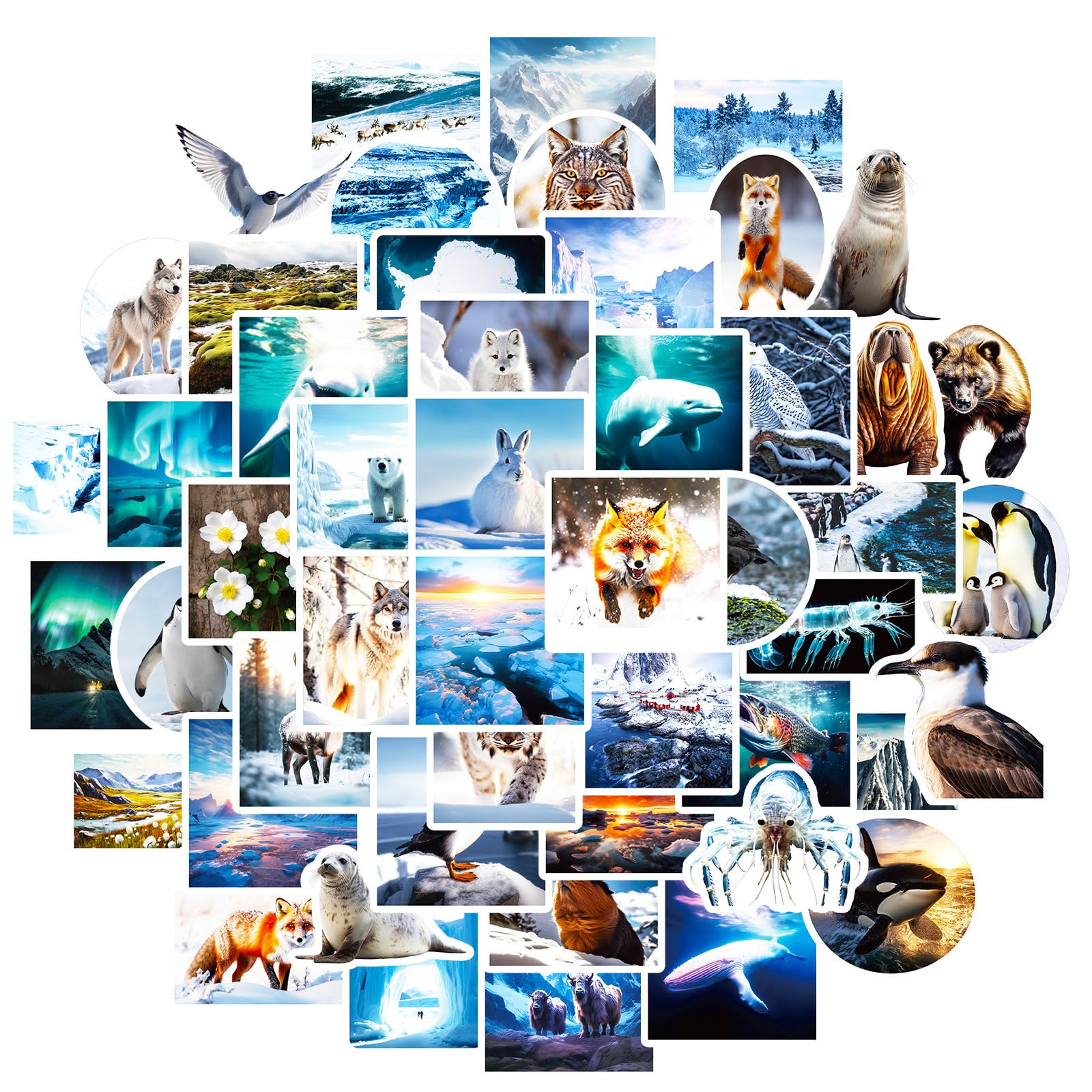 South and North Poles Stickers for Laptop (50 PCS),Gift for Children Teens Adults Girl Boys,Waterproof Stickers for Water Bottle,Landscape Vinyl Stickers for Scrapbook,Skateboard,Bike,Phone,Dairy