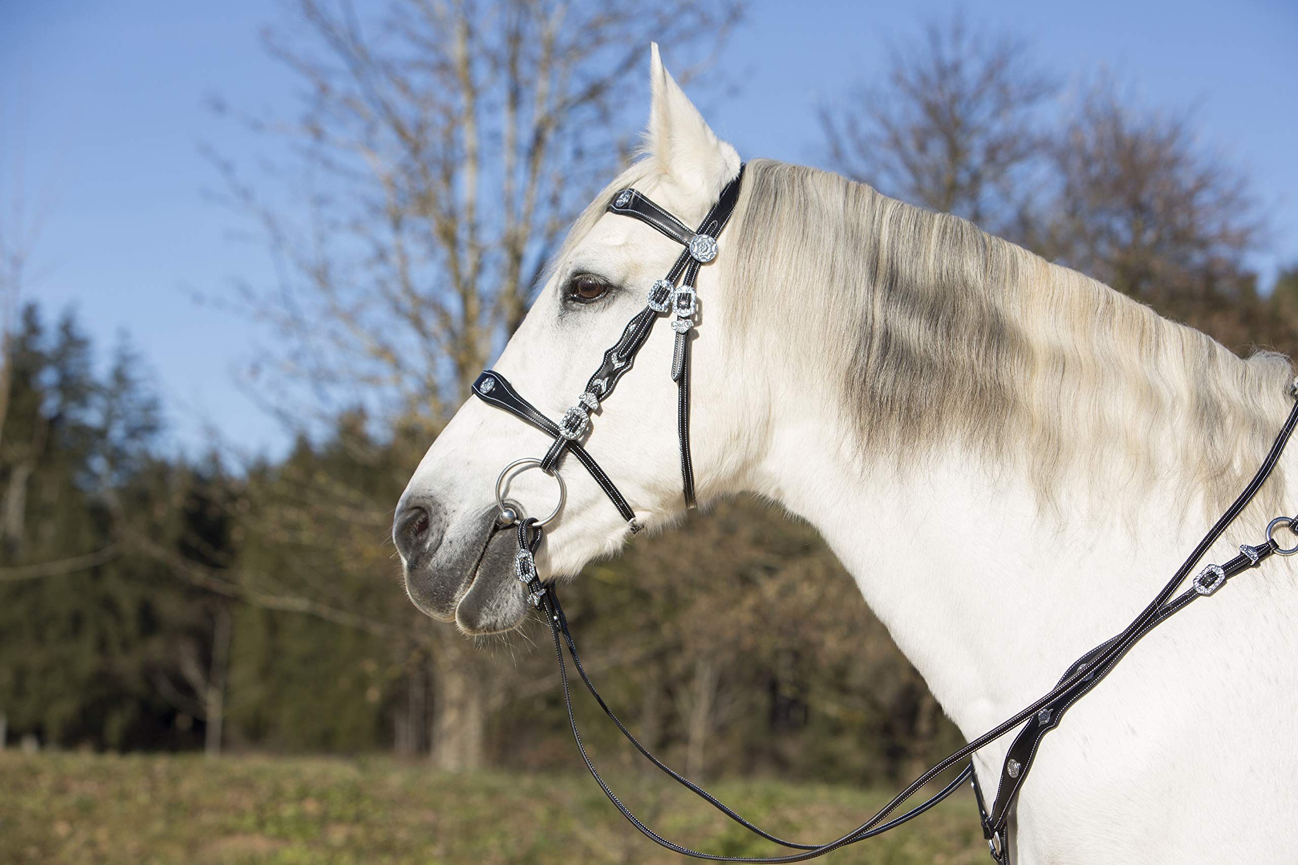 KIEFFER Spanish snaffle bridle ISABELLA