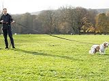Total Pet 15m Training Lead for Dogs & Puppies Long Line Leash 2mm Nylon view 8