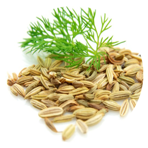 Benefits of Dill SeedsAmazon.esAppstore for Android
