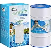 TOREAD Replacement for Pool Filter PA90, CX900RE, C900, Unicel C-8409, Filbur FC-1292, Posi-Clear Sta-Rite PXC95, Clearwater II ProClean 100, Aladdin 19002, 25230-0095S, 1 Pack