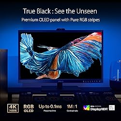 ASUS ProArt Display 31.5” 4K OLED Professional