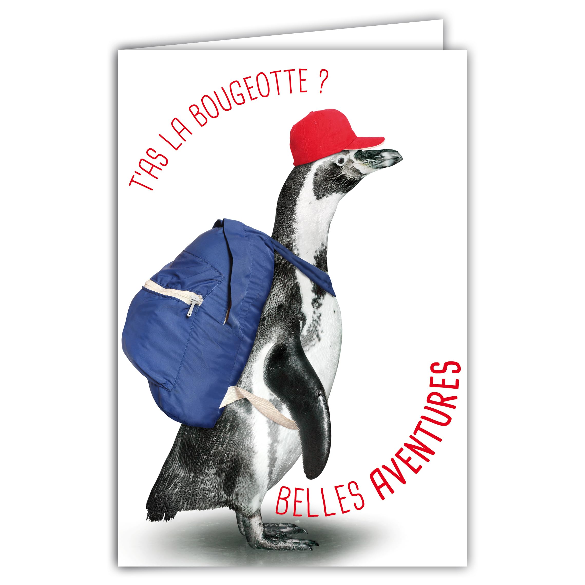 Departure to New Adventures Card with Illustrated Envelope, 17.5 x 12 cm, Funny Funny Animal - Moving or Retirement - Made in France 69-6223