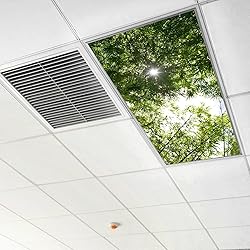 Drop Ceiling Light Covering Insert 4' x 2' feet