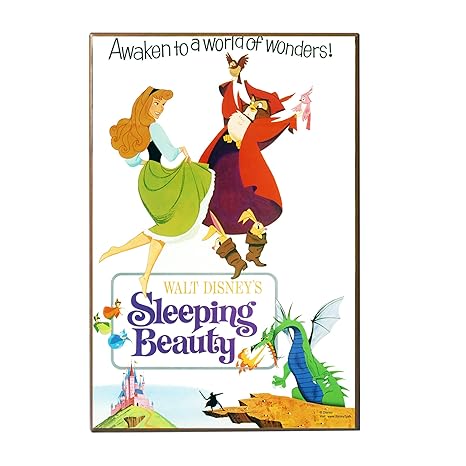 Silver Buffalo Dq0636 Disney Sleeping Beauty Awaken To A World Of