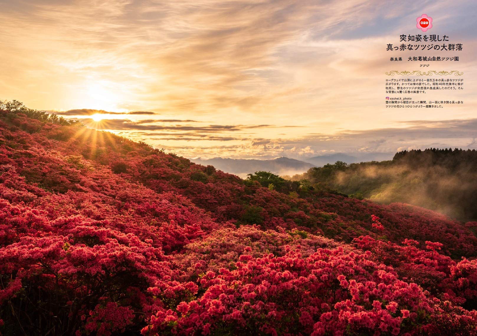 世界中に贈りたい花の絶景100 はなまっぷ本 はなまっぷ 本 通販 Amazon