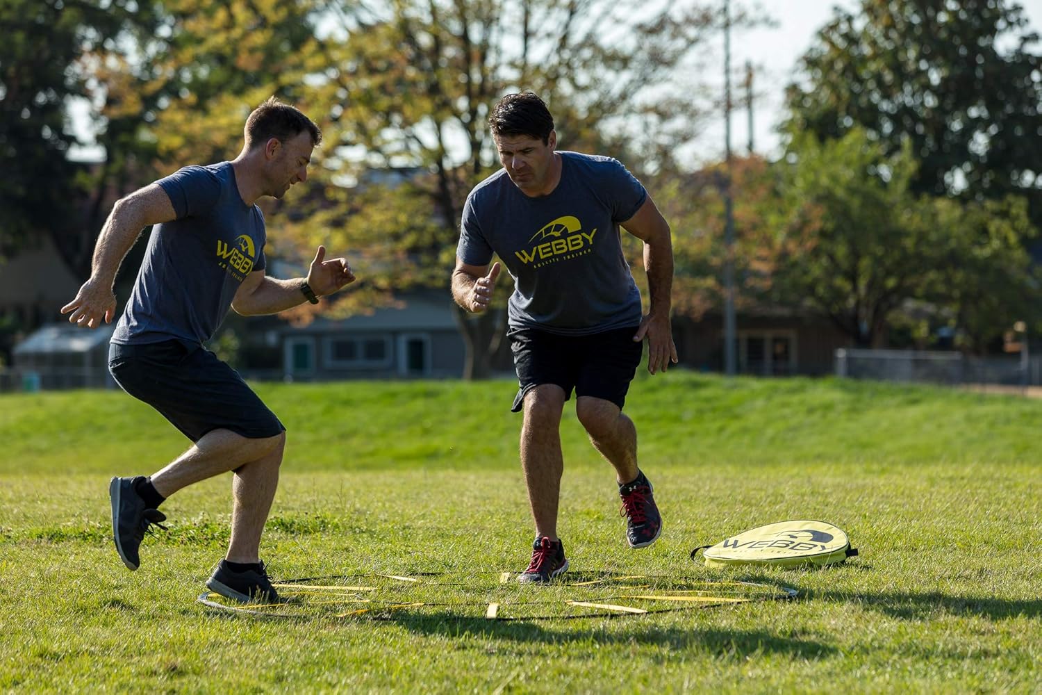 circle agility ladder