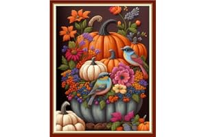 Redxing Stamped Cross Stitch Kits Embroidery kit for Beginners Adults Full Range of Embroidery Patterns Starter Kits DIY Printed Cross Stitch Kits Needlepoint Kits 11CT-Pumpkin Bird 15.7x19.7 inch