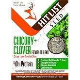 HIT LIST SEED&reg; Chicory + Clover Food Plot Seeds for Deer [Perennial] - Deer Food Plot Seed Perennial - Deer Plot Seed Mix - Chicory, Ladino Clover, Red Clover - Spring, Summer &amp; Fall Planting - 3 lbs