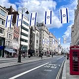 AhfuLife Israel Flag 5ft x 3ft Double Sided Polyester with Brass Grommets view 4
