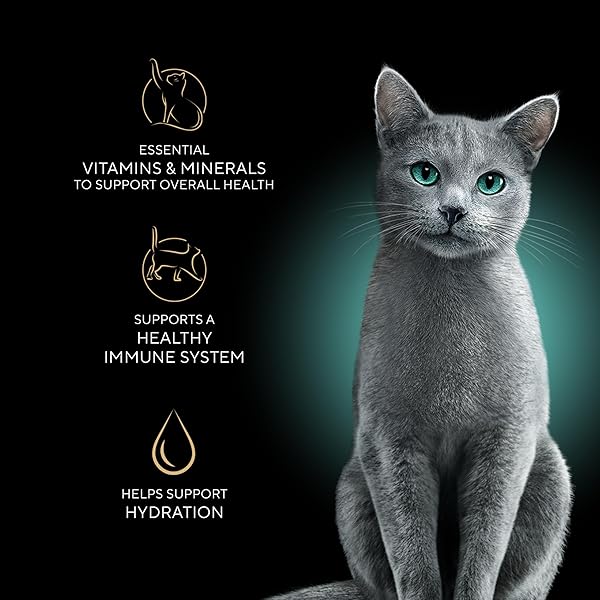 SHEBA PERFECT PORTIONS WET CAT FOOD CUTS IN GRAVY, SUSTAINABLE TUNA, 2.6 OZ. TWIN-PACK TRAY