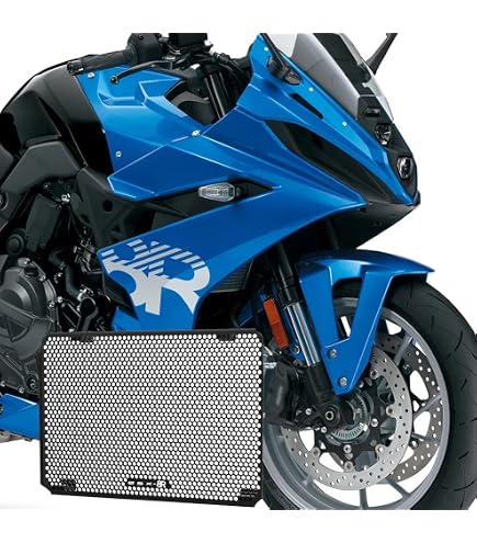 Protecteurs D'écran Speedo Angels Pour Royal Enfield SHOTGUN 650 (2024-) - 2 Films Ultra Transparents - 8