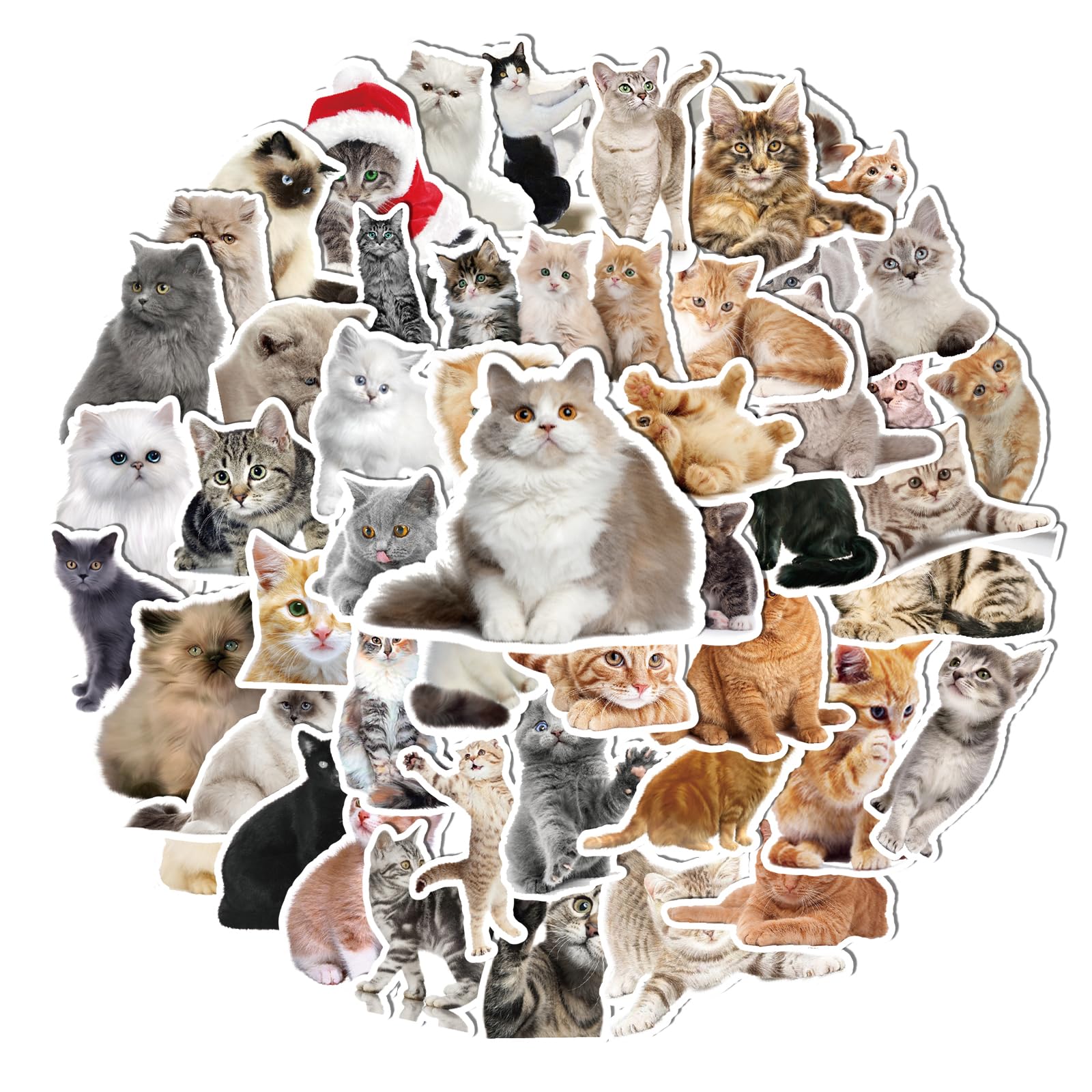Fuzmo 100 Pcs Cat Stickers for Water Bottles Laptop Guitar Suitcase