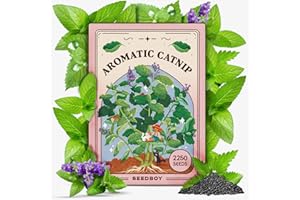 Seedboy Catnip Seeds for Planting Indoor and Outdoor, Non-GMO Herb Seed Packet for Hydroponic Garden Indoor or Planting Outdoors (Catnip)