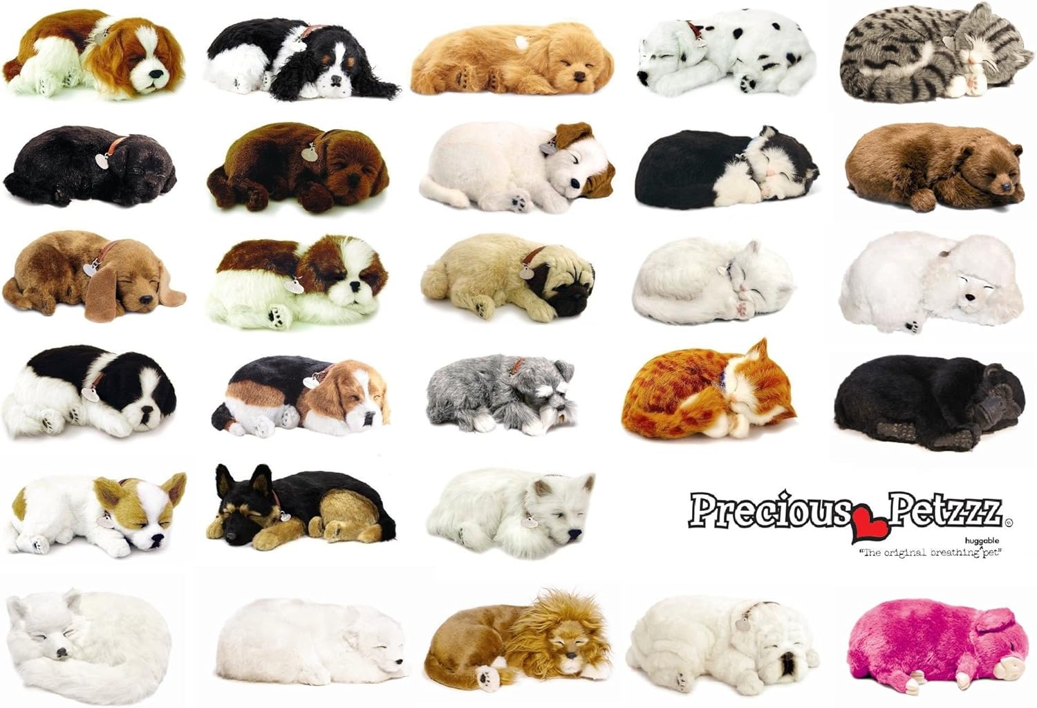 perfect petzzz westie