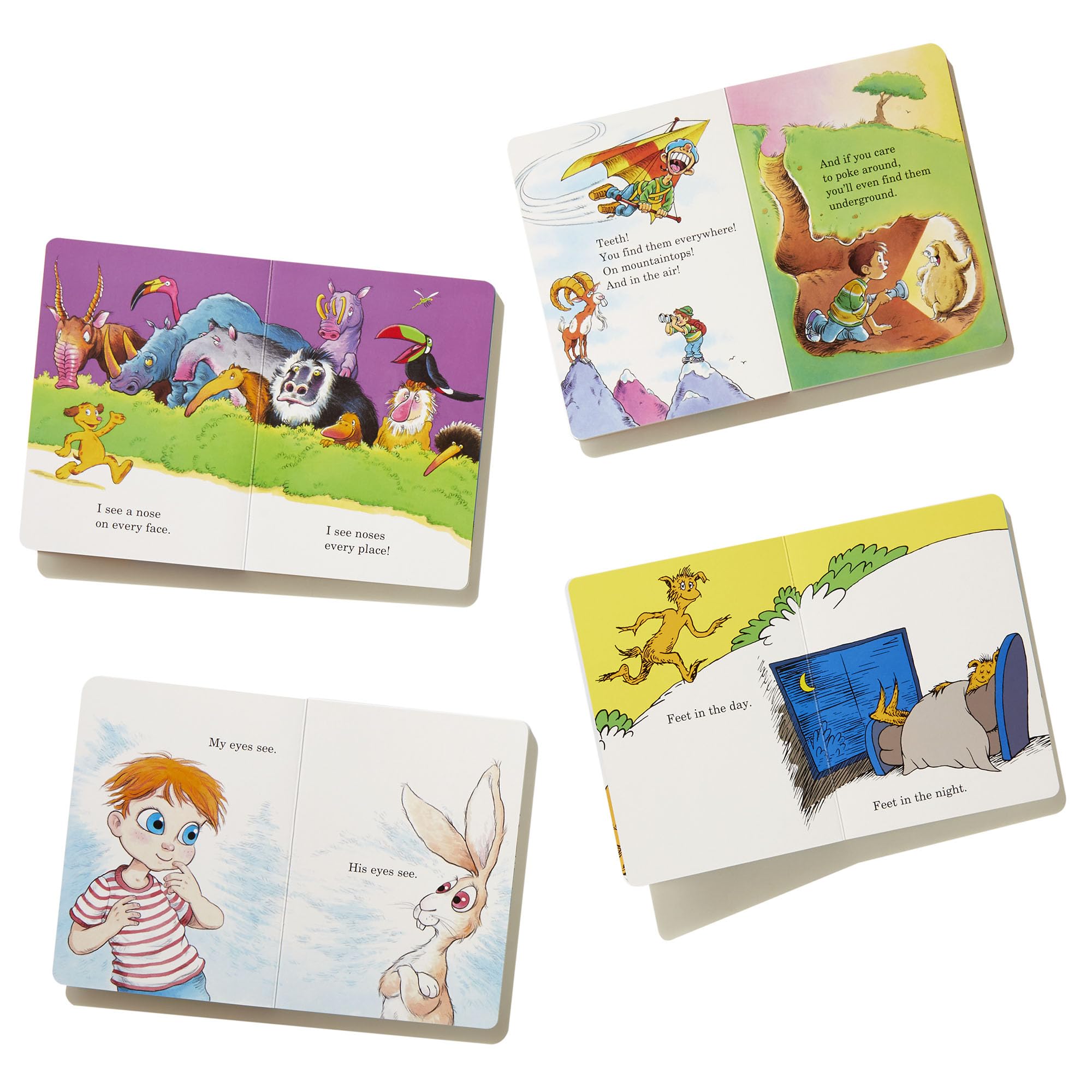 The Big Boxed Set of Bright and Early Board Books About Me: The Foot Book; The Eye Book; The Tooth Book; The Nose Book (Big Bright & Early Board Book)