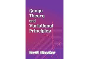 Gauge Theory and Variational Principles