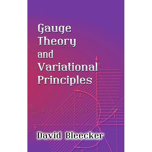 Elementary Primer For Gauge Theory, An: Moriyasu, K: 9789971950941
