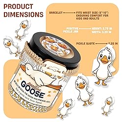 Positive Goose Jar with 60 Affirmation