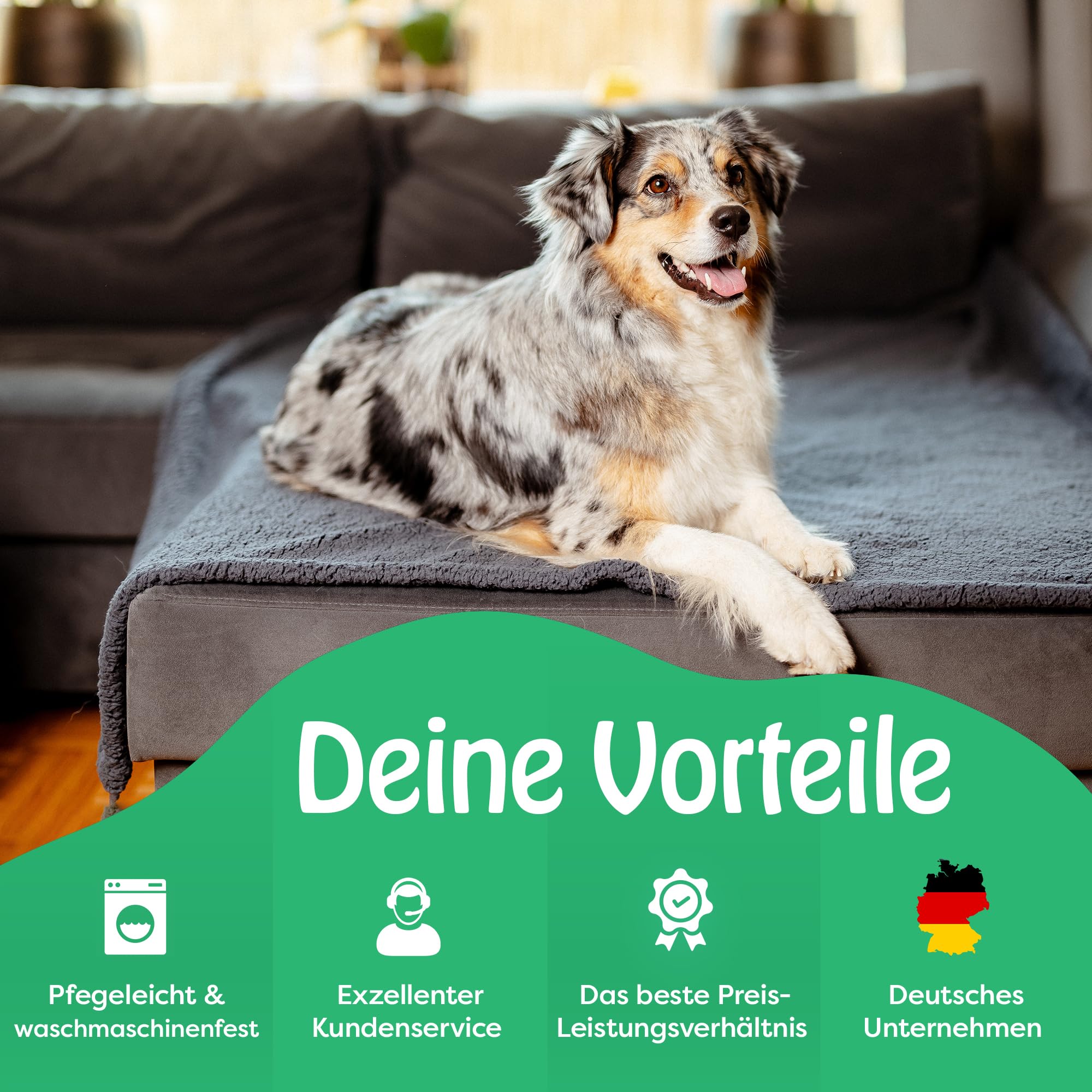 petpurry® wasserdichte Hundedecke – 152x203cm/XXL/grau – Flauschige & wasserdichte Haustierdecke für Sofa, Bett & Auto – beidseitig, waschbar, für Hunde & Katzen 7
