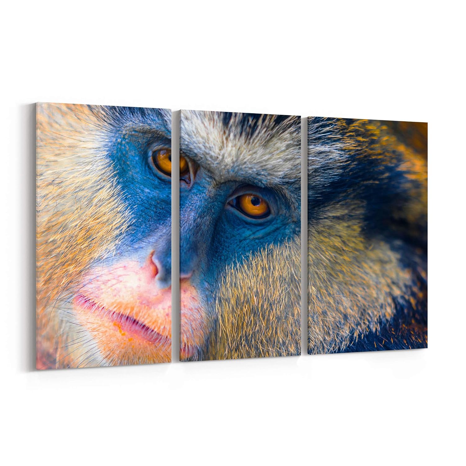 Monkey Canvas Print Monkey Canvas Art Monkey Wall Art Canvas Multiple Sizes Gallery