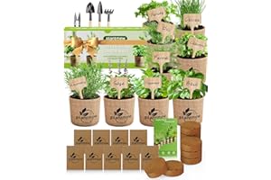 PLANTMEW Christmas Gifts for Mom, Women, Her - 9 Herb Indoor Garden Starter Kit with Pots, Soil & Tools - Unique Birthday Gifts for Women, Housewarming Present for Wife - Grow Kitchen Windowsill Herbs