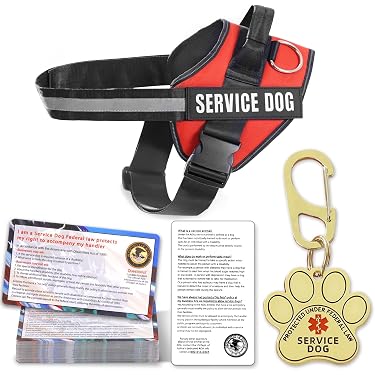 Amazon Best Sellers: Best Dog Harnesses