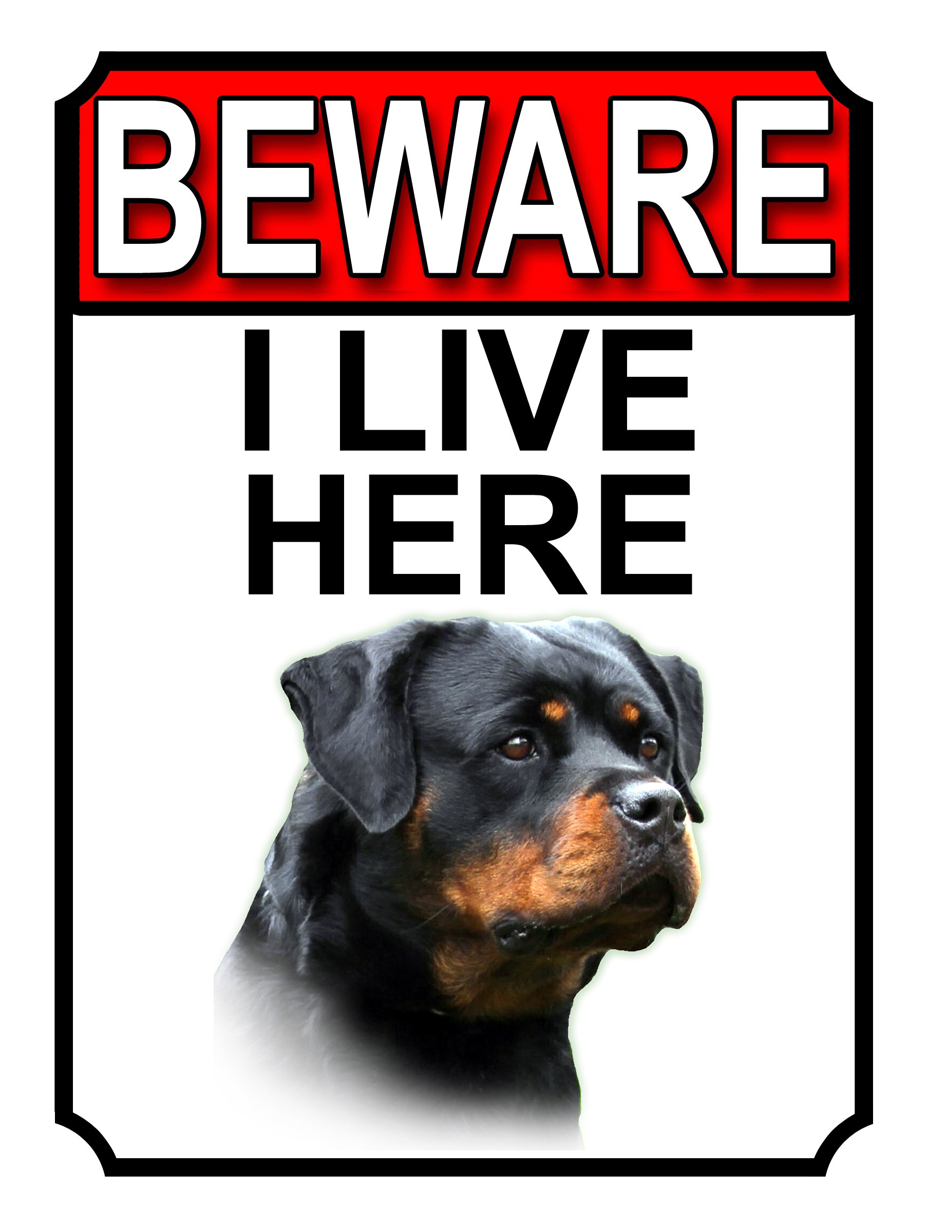 SHAWPRINT BEWARE I LIVE HERE METAL GATE SIGN ROTTWEILER (8" x 6")