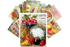 PIXILUV Vintage PostCards 24 pcs Veges and Fruits Vintage Seed Pockets Gardens