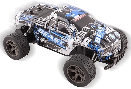 cheetah king rc car