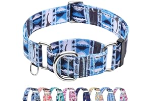 Fidohug Reflective Martingale Collar for Dogs Nylon Training Collar with No Buckle, No Pull Escape Proof Dog Collar for Large Dogs（Blue Dinosaur，L）