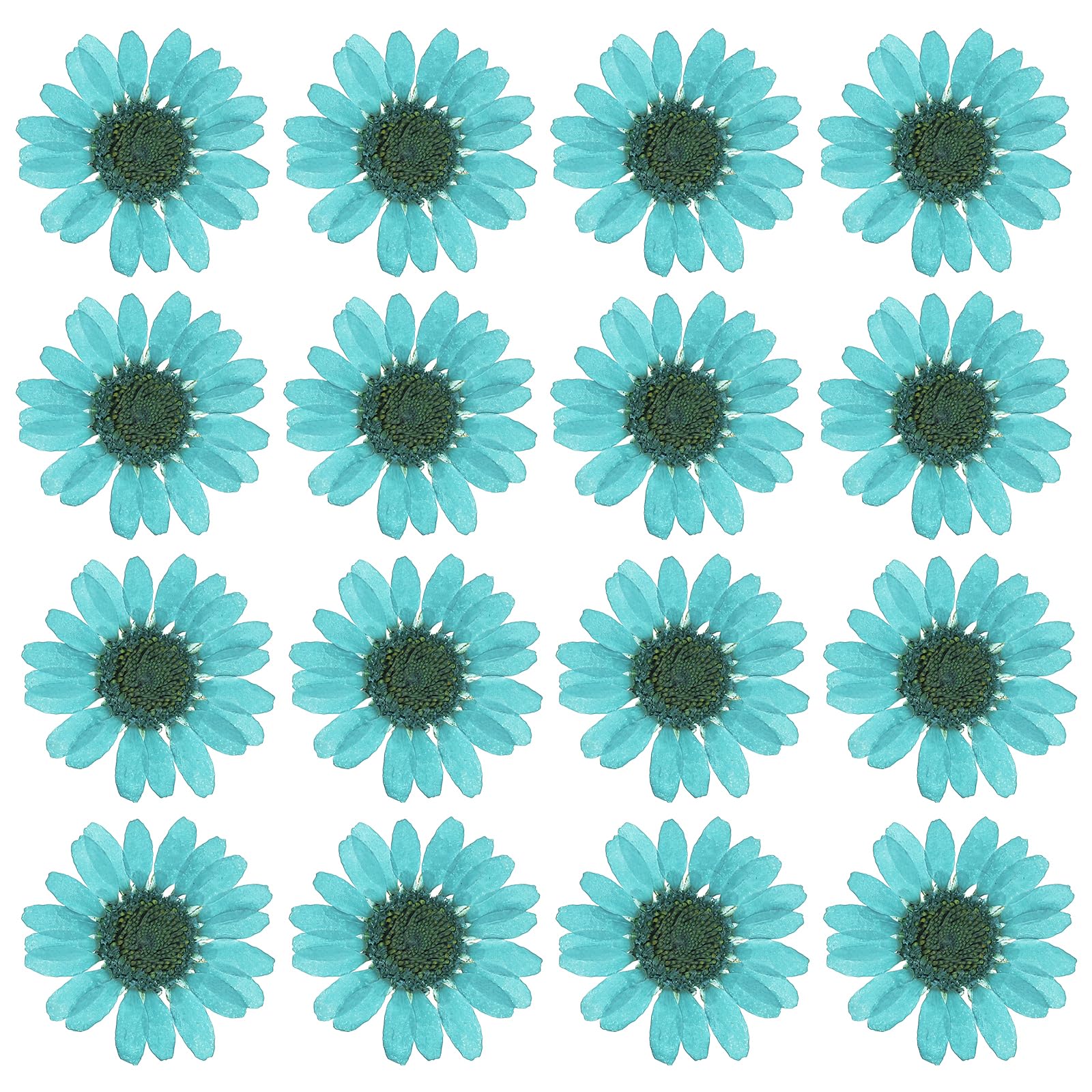 PATIKIL 48 Pcs Dried Pressed Flower Natural Dried Daisy Flower for DIY Art Crafts House Decoration Nails Decoration,Lake Blue