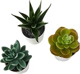 IKEA FEJKA Mini Artificial Succulent Desk Plants 3 Pack 13 cm view 3