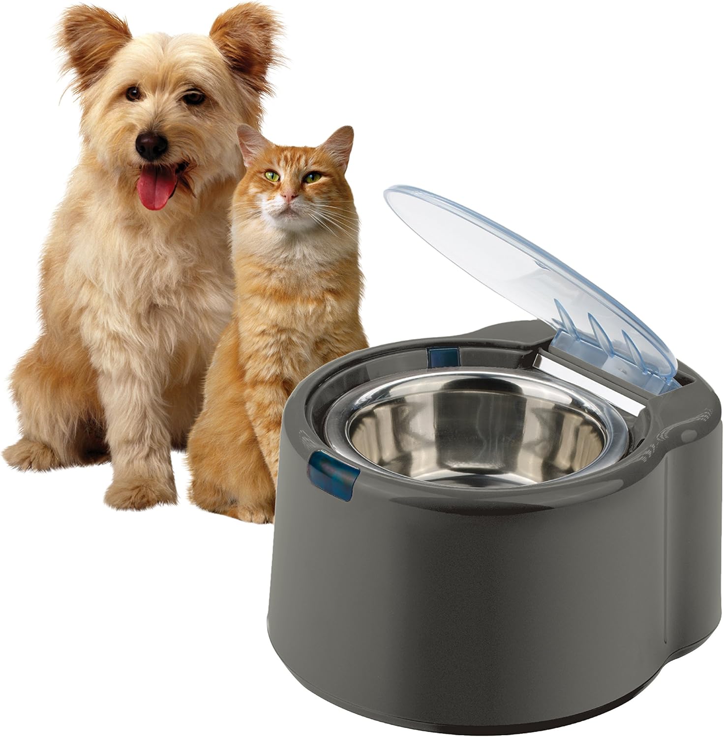 beaphar toothpaste ingredients