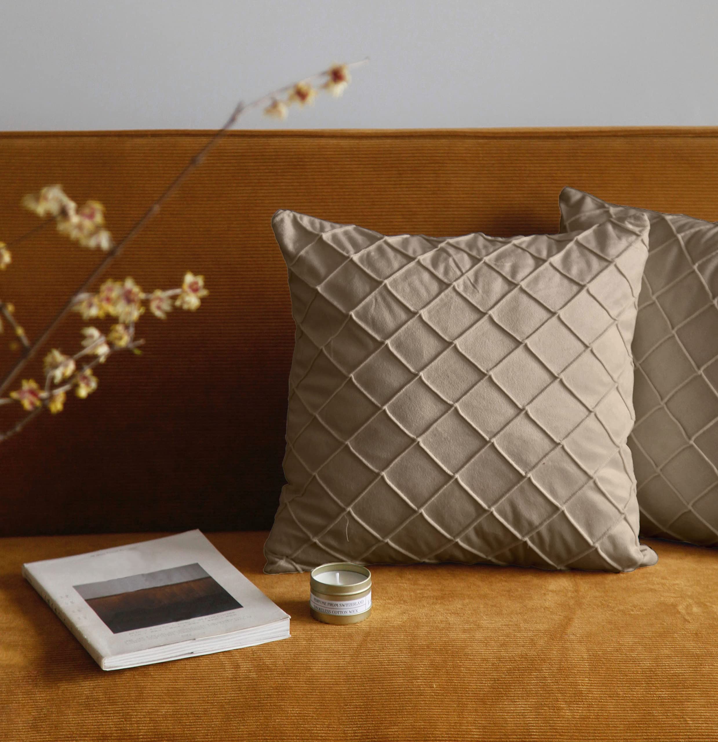 Pagnanno. Set of 2 Soft Velvet Cushion Covers 45x45cm(18x18 Inches) Squares Throw Pillowcases Cushion Covers for Chairs,living room,bedroom with Invisible Zipper (18"x18" (Pack of 2), Taupe)