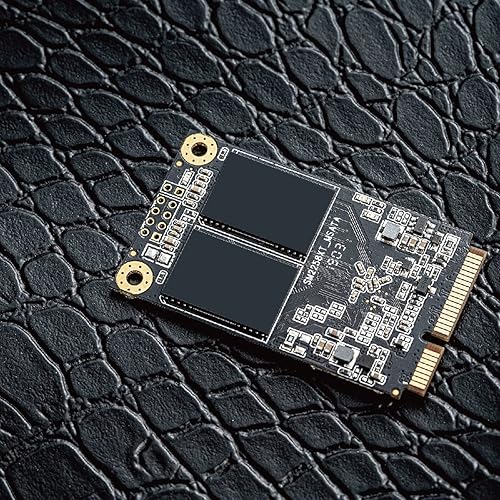 LEVEN mSATA SSD 1TB 3D NAND TLC SATA III 6GB / mSATA (30x50.9mm