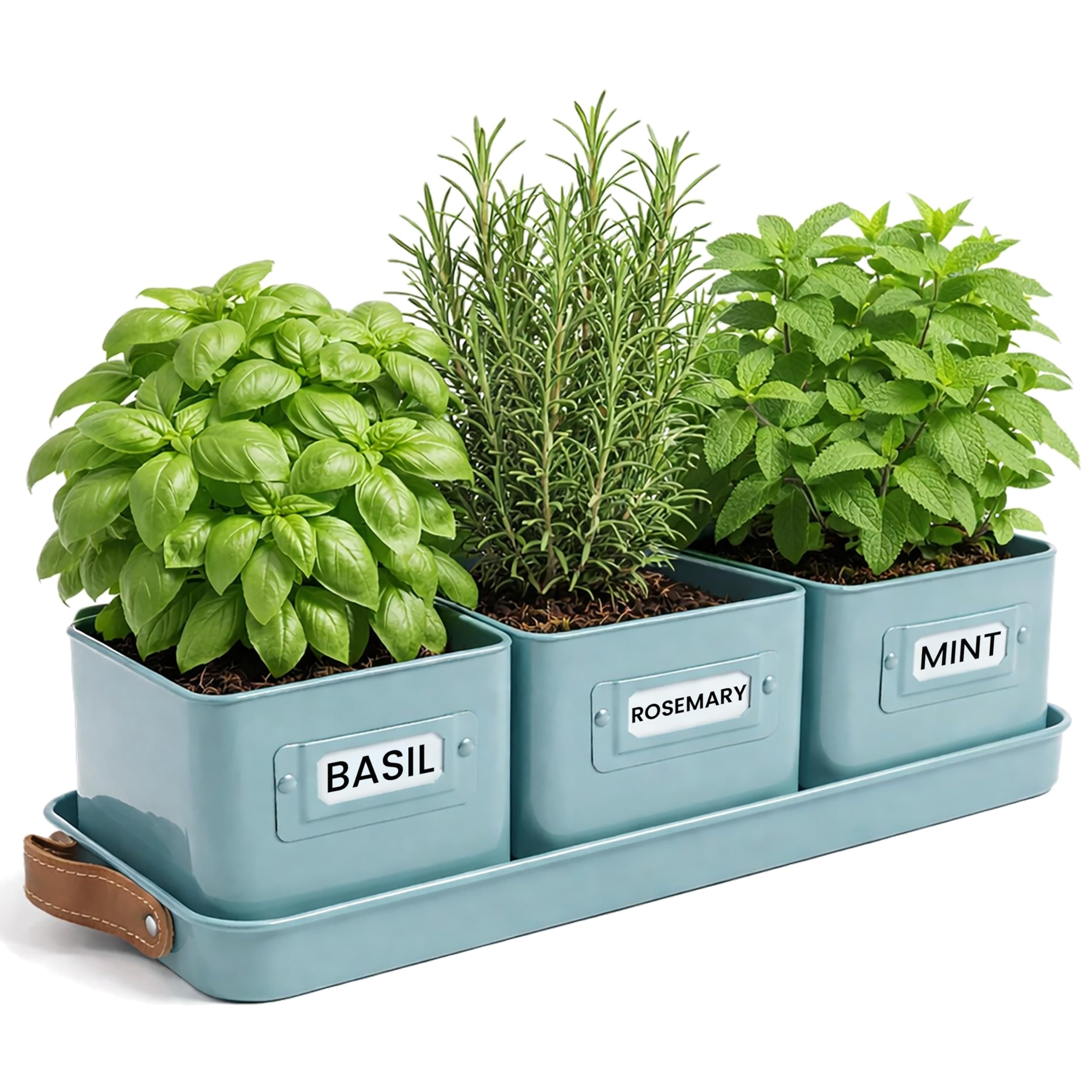 Green Thumbz Herb Pots for Kitchen Windowsill - Set of 3 Teal Blue Herb Planter Indoor with Leather Handled Tray - Ideal for an Indoor Herb Garden, Plants and Flowers - Labels Included