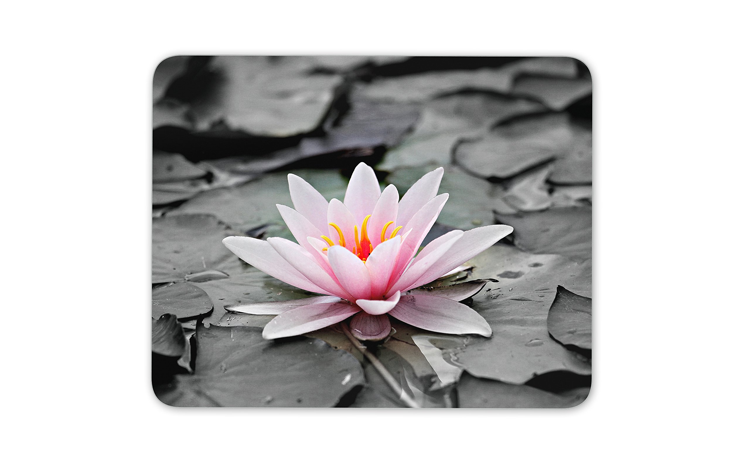 Destination Vinyl Ltd Pretty Pink Water Lillie Mouse Mat Pad - Flower Lilly Mum Gift Computer #13117