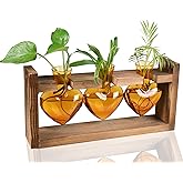 Kingbuy 3-Heart Plant Terrarium Kit - Stained Glass Vase Propagation Station with Vintage Wood Stand - Wall-Mounted Tabletop Indoor Garden Decor for Home Kitchen Wedding Gift for Plant Lover, Amber