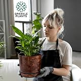 KORAD Extra Large Wood Effect Flower Planter Gloss Pot with Saucer 32 cm view 5