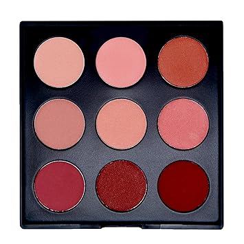 blush makeup kit