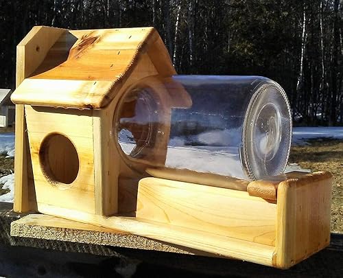 Amazon Com Gallon Glass Jar Squirrel Feeder Cedar Wood Handmade