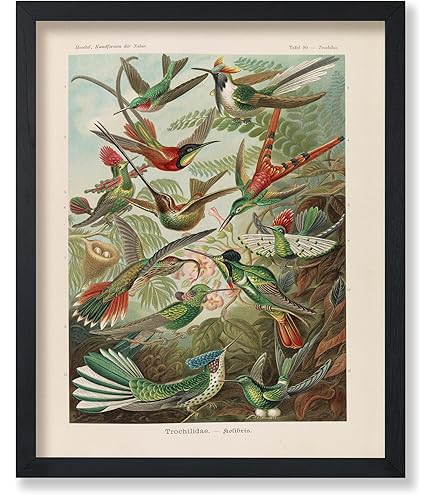 Amazon.com: Trademark Fine Art American Flamingo 1834