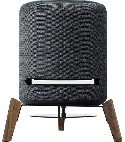 Amazon.com: Alloery Subwoofer and Speaker Deaktop Stand,Surround