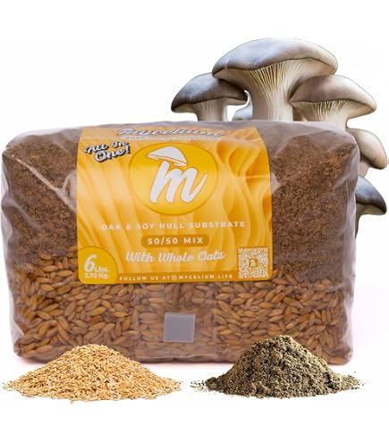 Mycelium Plus Pilzzucht-Set – 2,7 Kg All-in-One Substrat, Eiche & Soja, Steril, Für Home Grower