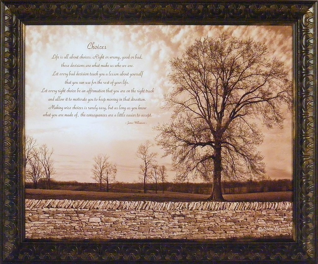 Amazon Choices by Susie Boyer 20x24 Tree Rocks Sepia James Williamson Quote Inspirational Motivational Framed Art Print Picture Posters & Prints